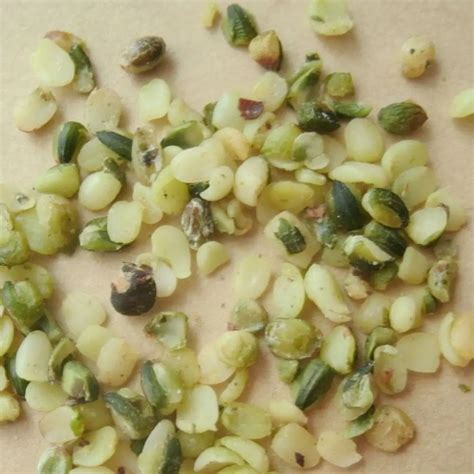 traduction seeds|seed meaning in french.